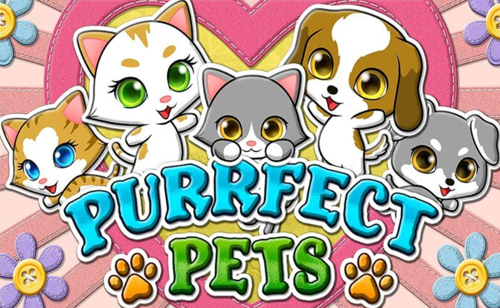 purrfect pets